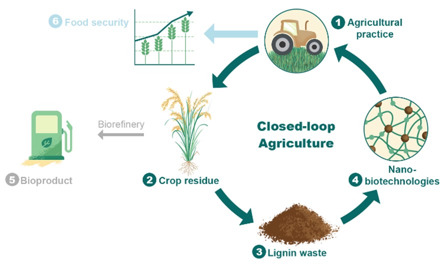 图4 闭环农业概念图